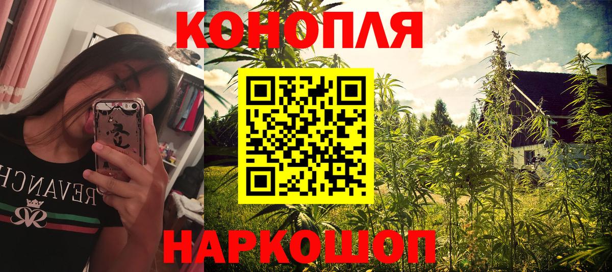 Бошки марихуана сатива  Конопля MAZAR  Ейск  Вход с VPN  Каннабис план 